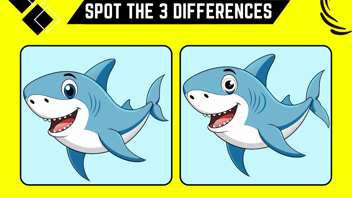 Spot the Difference Game: Only People with 20/20 Vision Can Spot the 3 Differences in this Shark Image in 10 Secs