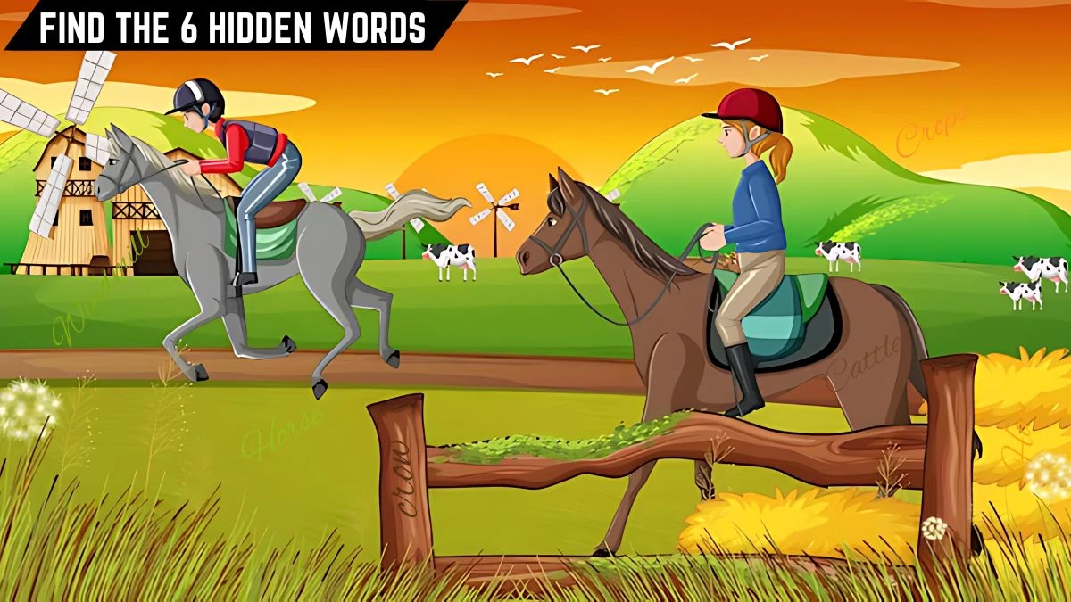 Puzzle IQ Test: Only 5 out of 10 can spot the 6 Hidden Words in this Horse Rider Image in 10 Secs