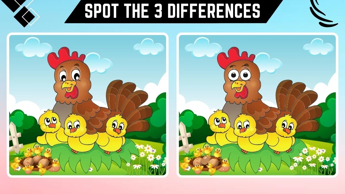 Spot the 3 Differences: Only the Sharpest Eyes Can Spot the 3 Differences in this Hen with Chicks Image in 10 Secs