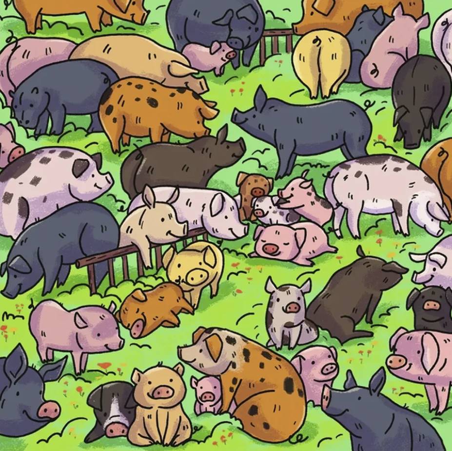 Attention test: find the hippopotamus among the piglets.