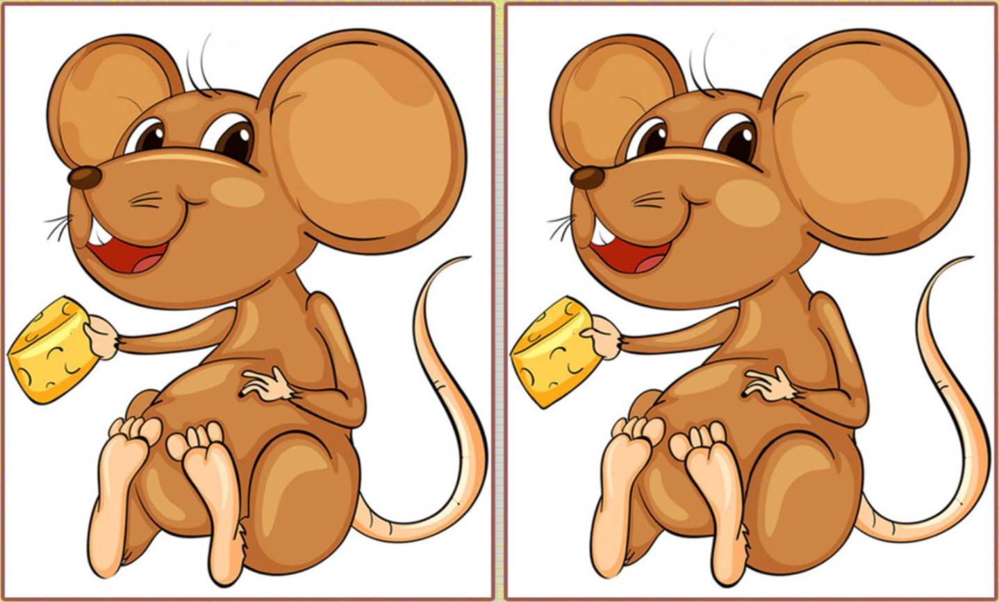 Attentive individuals will easily handle this workout – they will find 5 differences and three distinct baby mice.