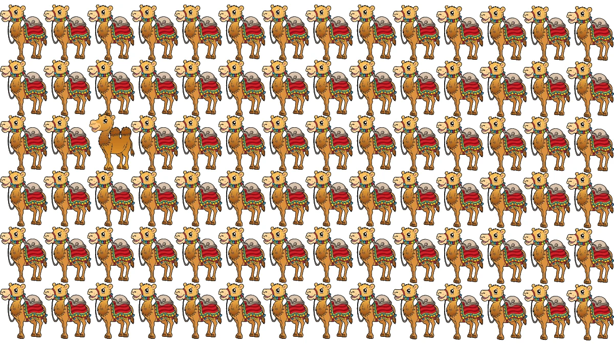 Brain Teaser Odd One Out Puzzle: Only 4K Vision Can Spot the Odd Camel in 8 Secs