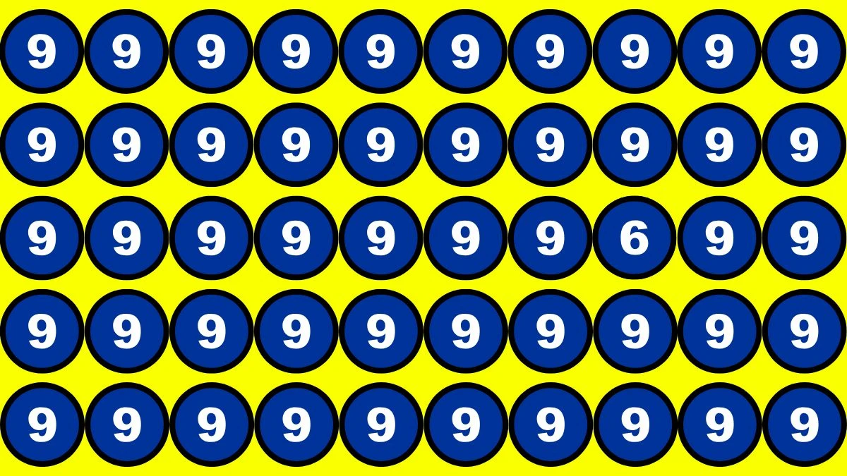 Brain Teaser: Only People with 2K Vision can Spot the Number 6 among 9 in 9 Secs