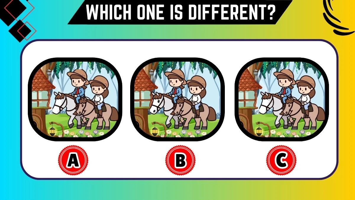 Brain Teaser: Only people with detective skills can spot the different one in 15 Secs