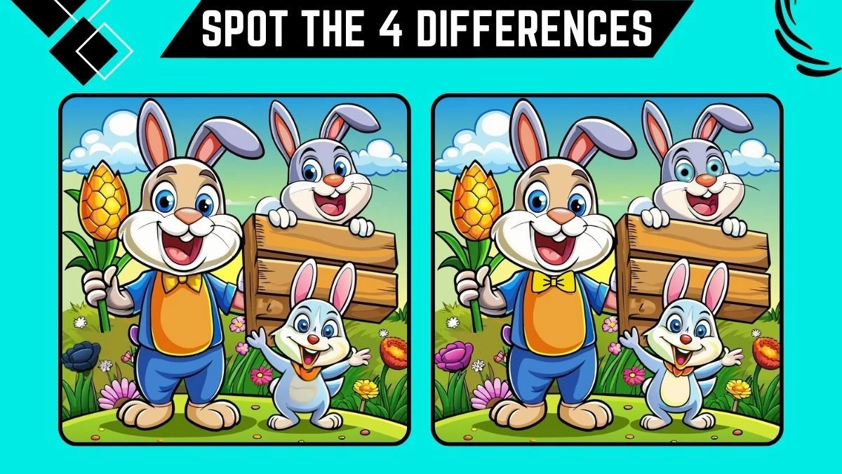 Brain Teaser Spot the Difference Picture Puzzle: Try to Find 4 Differences in this Rabbit Family Image 12 Secs