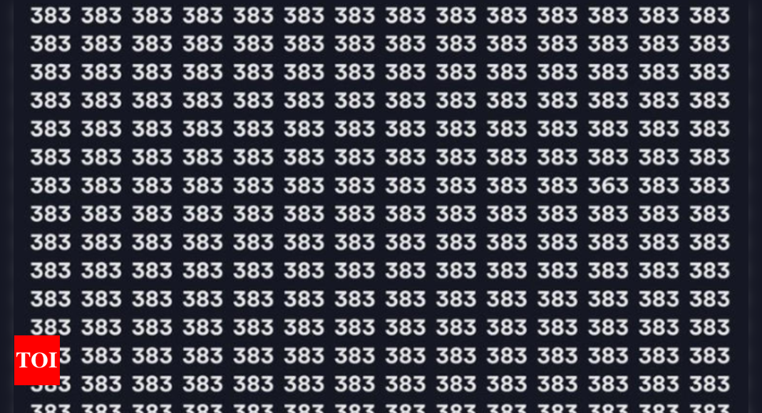 Brain teaser: Can you find 363 in this image