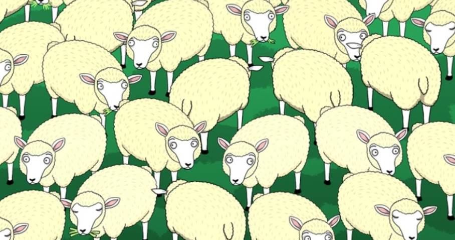 Can you find the wolf among sheep? If you solve this test too easily, you have high intelligence