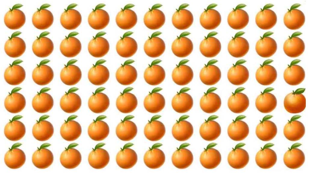 Can you find which orange is different from others? Only people with perfect eyesight will notice it!