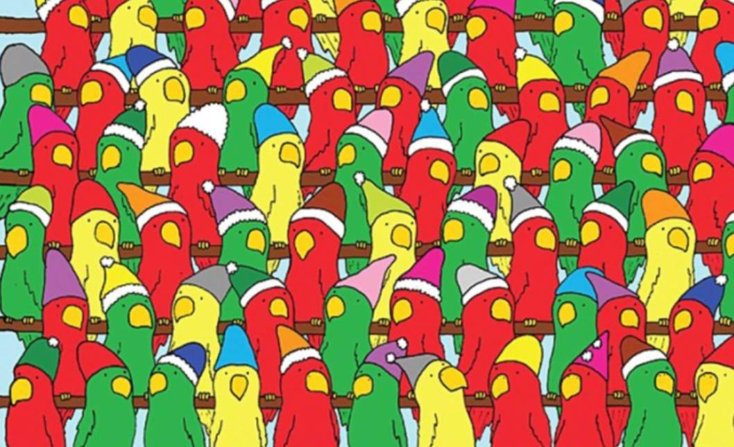 Can you locate the Santa hat concealed among the group of birds?