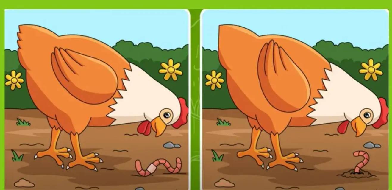 Can you spot five differences in this hen picture within just 12 seconds? Test your observation skills!