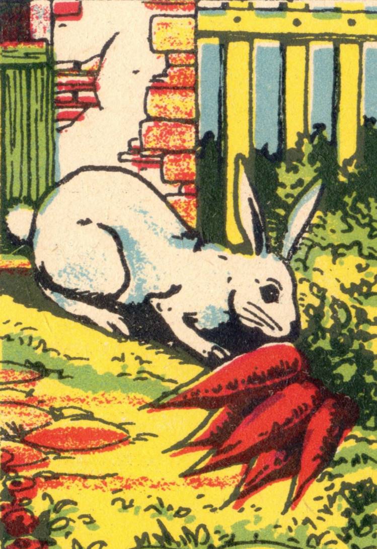 Could you give the rabbit a clue about where the hunter is hiding?