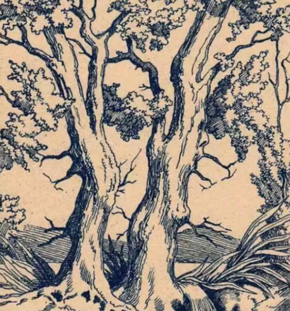 Discover the challenge: Can you spot the three concealed faces in this tree? It’s a test meant for the gifted. Challenge your friends and family!