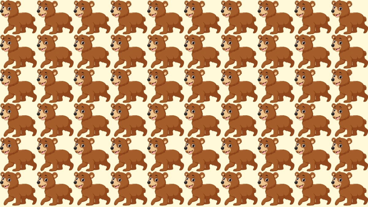 Find and Seek Puzzle: Find the Odd Bear in 7 Secs