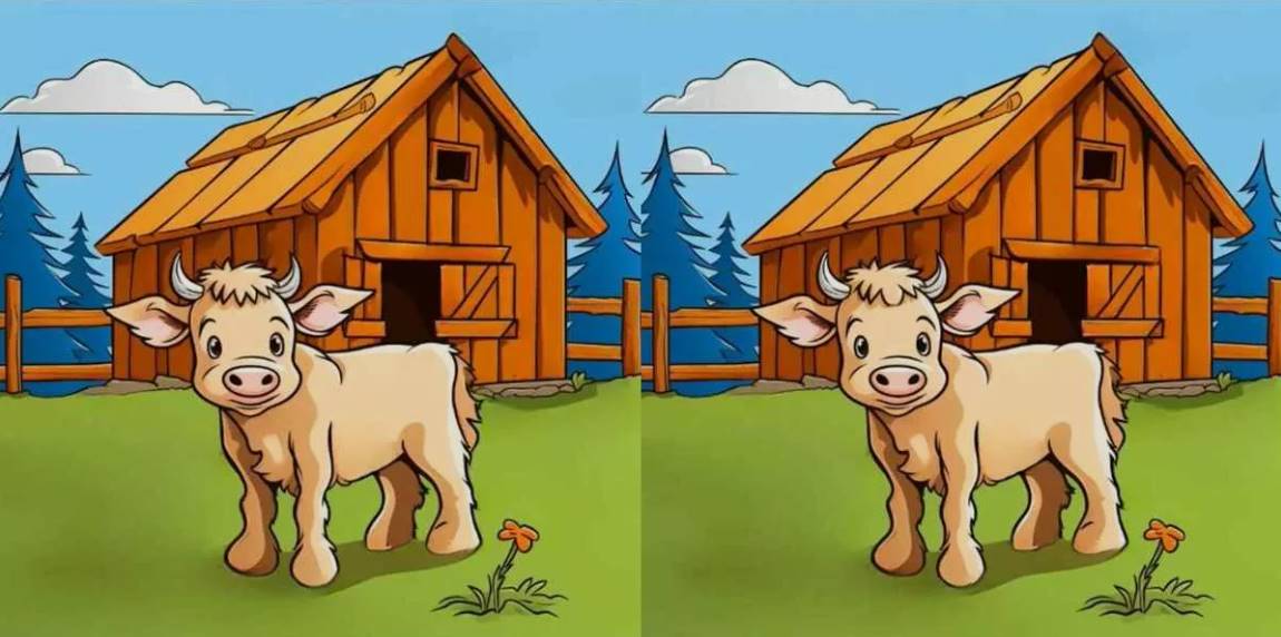 Find the three hidden differences between the adorable cow photos in under ten seconds!