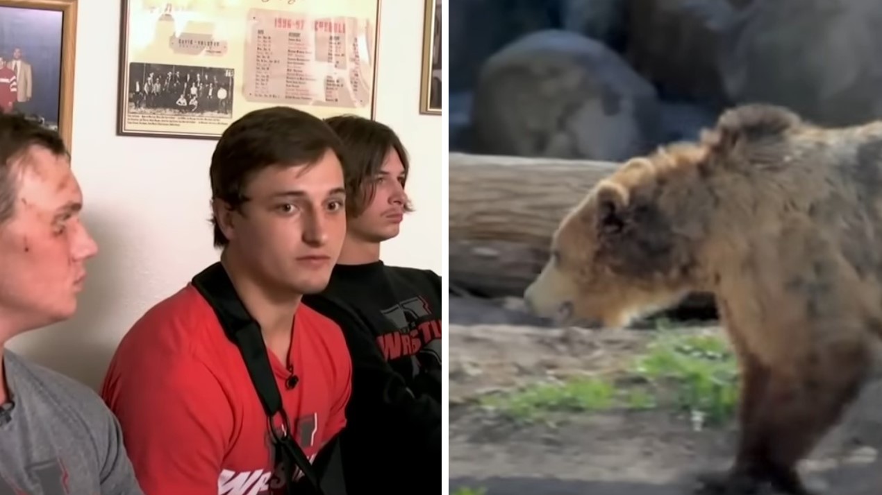 Four college students survived a bear attack. Here is what they tell about that horrible day