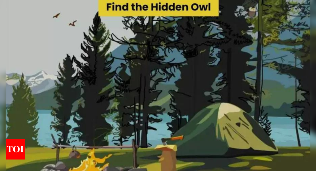 Hidden Owl in the jungle: Can you find it in 7 seconds?