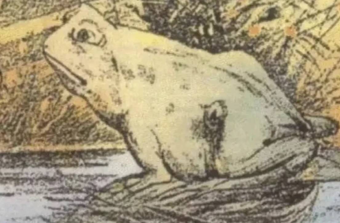 Horse or frog? Optical illusion will reveal new things about your personality