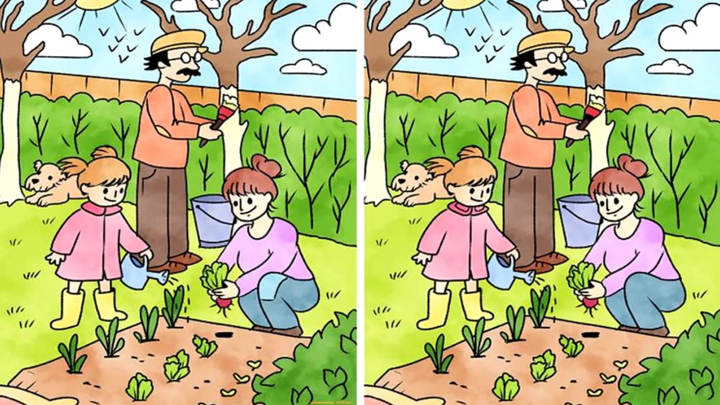 How many differences are there between the 2 identical pictures? Challenge yourself!