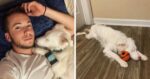 How to wake up a deaf and blind pet: the owner of a dog with peculiarities came up with an unusual, but working method