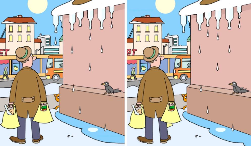 If your vision is good, you will surely spot 11 differences in the picture