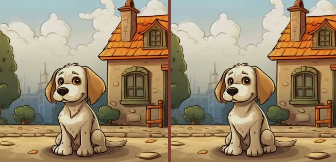 In 15 seconds, identify three differences between the puppy photographs. Test your sight!