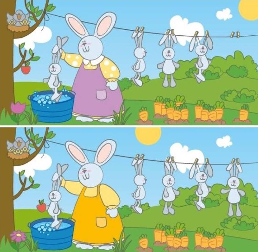 In 16 seconds, try to identify the hidden 10 differences between the pictures of the “Rabbit Bath”