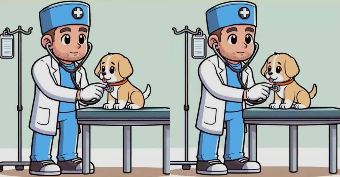 In eleven seconds, identify three differences between the dog and doctor’s photographs!