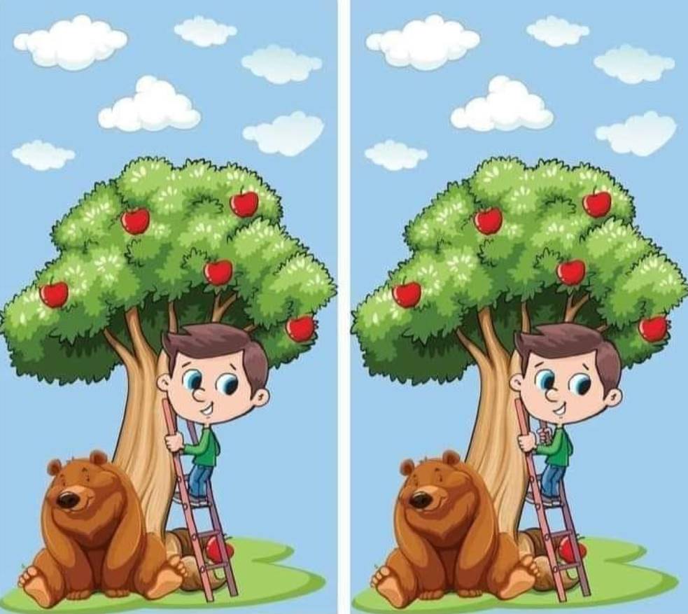 In just 9 seconds, try to identify the differences concealed in the “apple tree” photo. A difficult challenge!