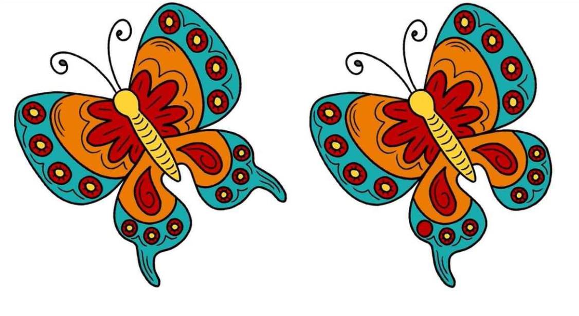 In only 15 seconds, identify three differences between the butterfly photographs! We challenge you!