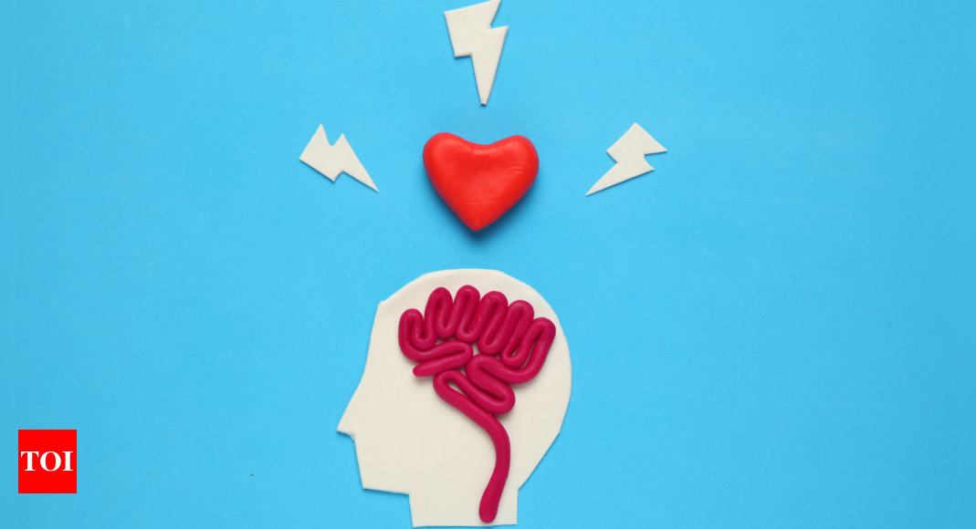 Love Impact Brain Functioning: How does love impact the functioning of the brain? |