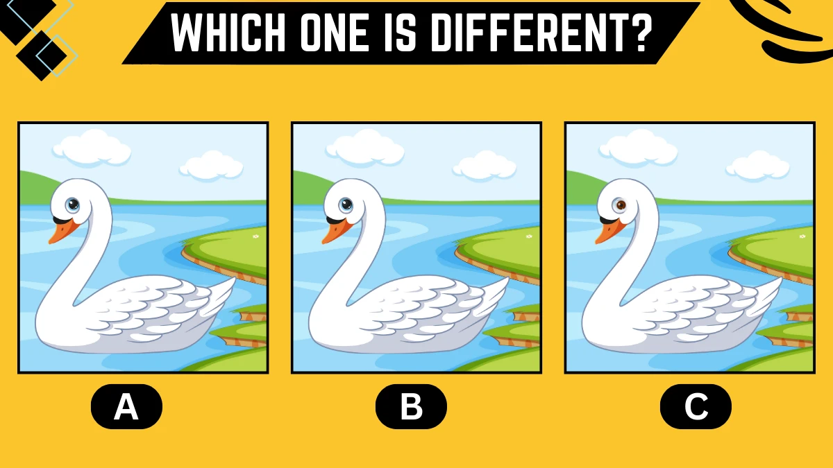 Observation Brain Challenge: 99% Fail to Spot the Different Swan in 7 Secs