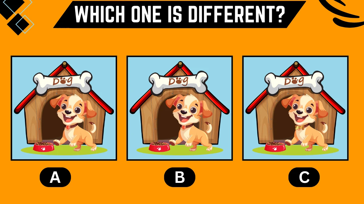 Observation Brain Challenge: Only 8k Vision People Can Spot the Different Dog in 8 Secs