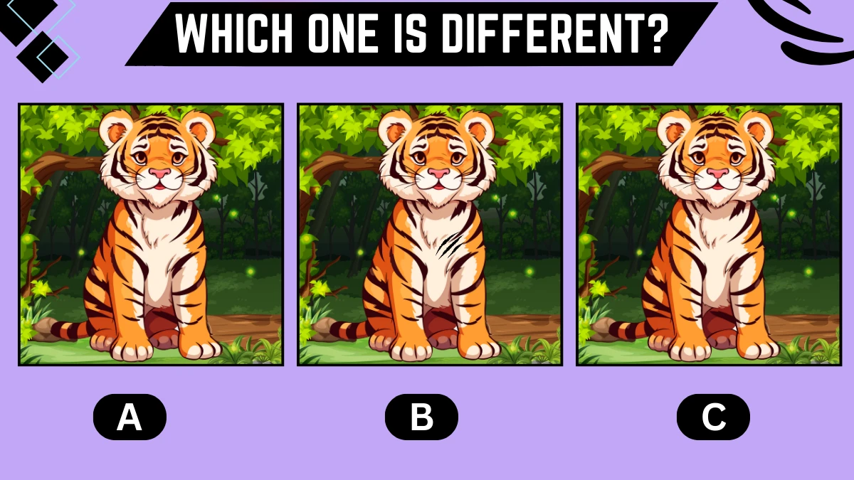 Observation Brain Challenge: Only People with Sharp vision Can Spot the Different Tiger in 7 secs