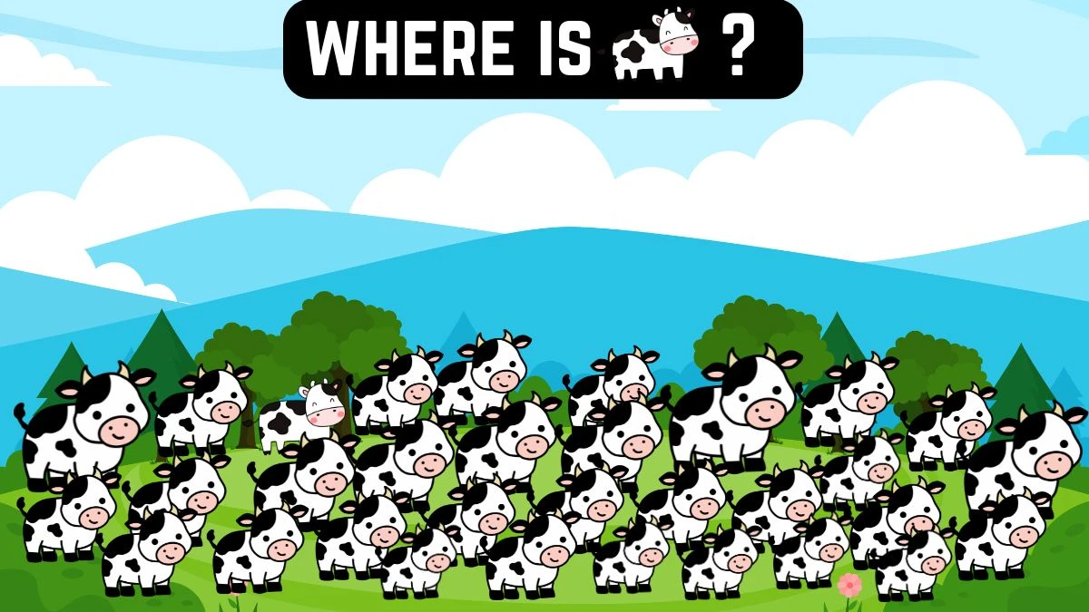 Observation Find it Out: Only 10% attentive people can spot the Odd Cow in 7 Secs