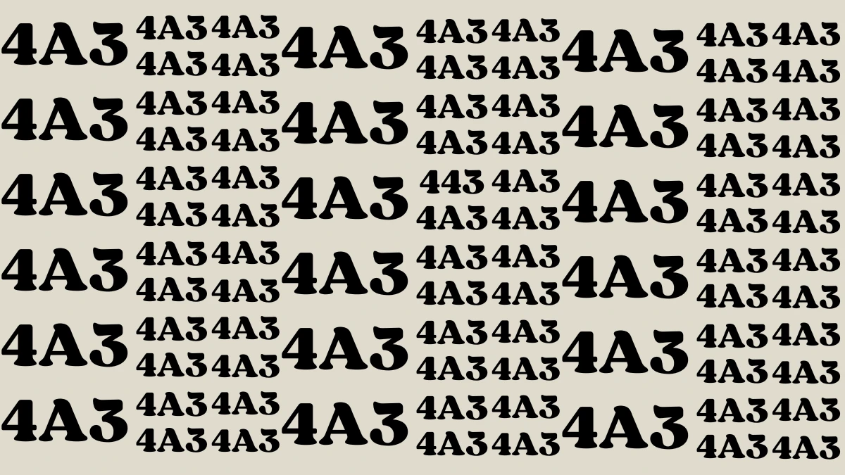 Observation Find it Out: Only Extra Sharp Eyes Can Spot the Number 443 in 7 Secs