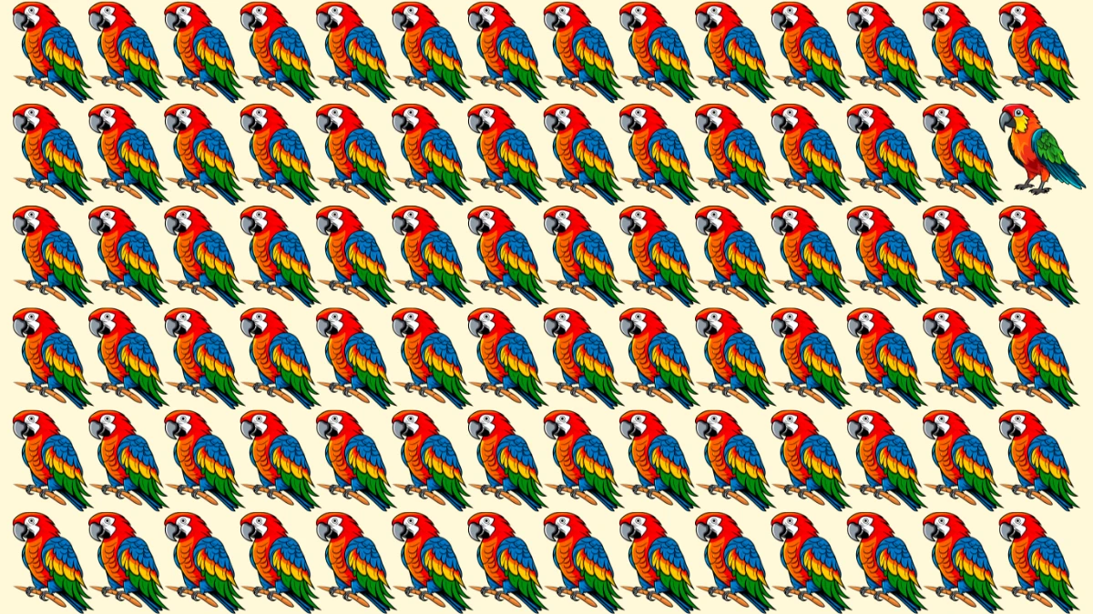 Odd One Out Puzzle: Only People with 4K Vision  Can Spot the Odd Parrot in 9 Secs