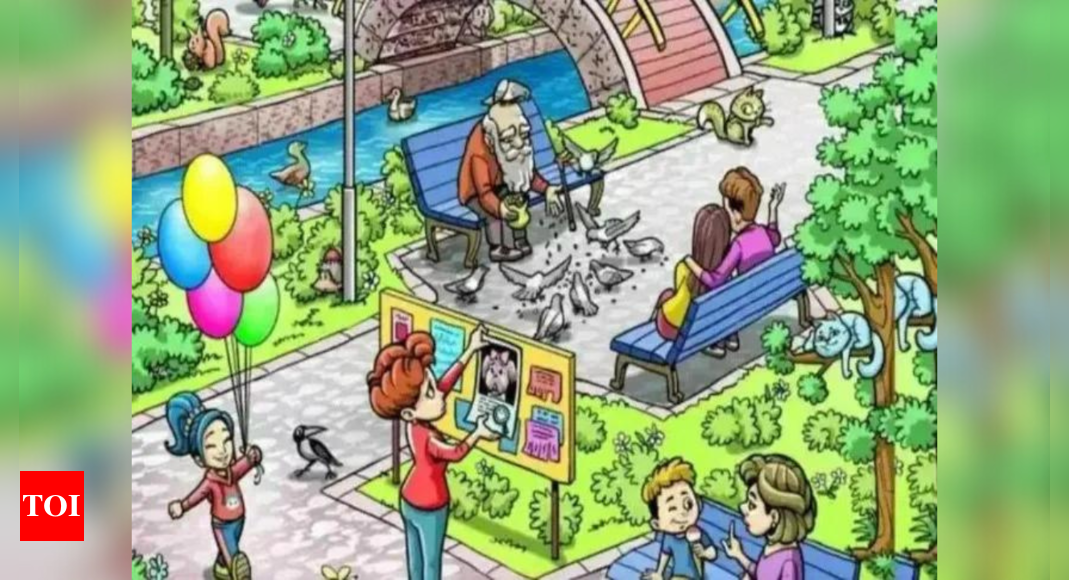 Only a person with rational mind can easily spot the missing dog in the park