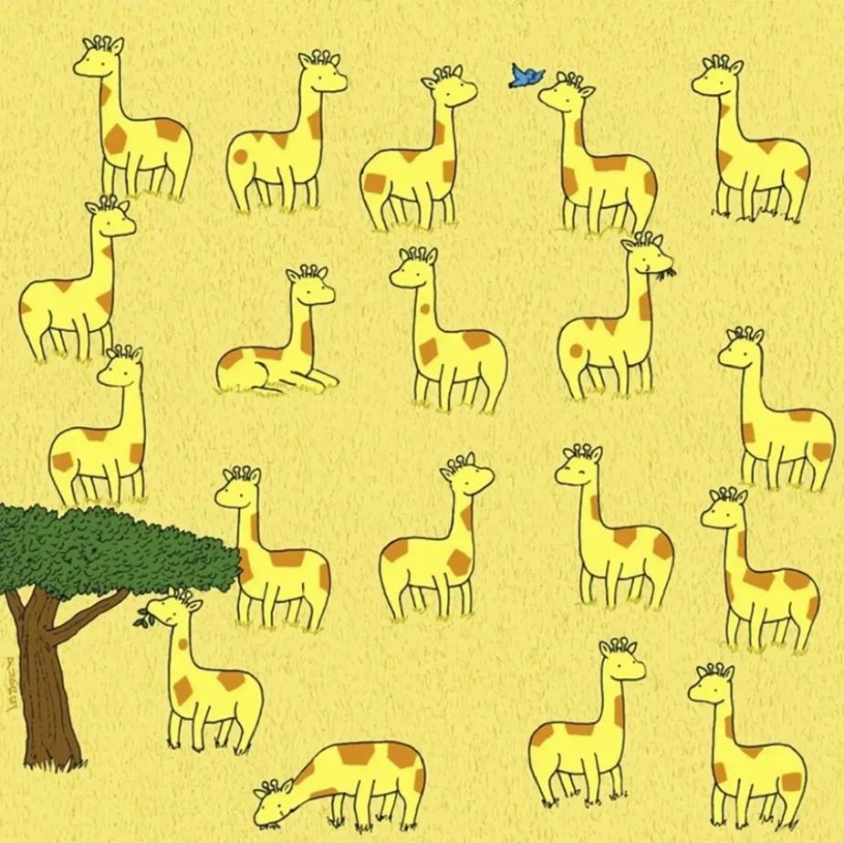 Only one giraffe in the picture is not repeated. Find it within 60 seconds.