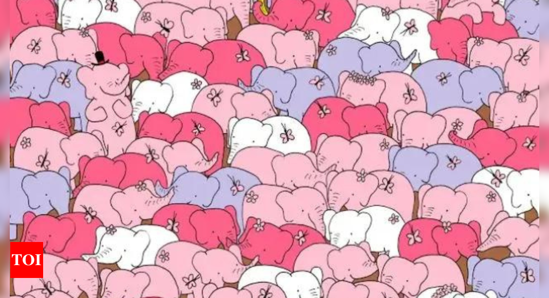 Optical Illusion: Are you kind enough to find a heart among these elephants |