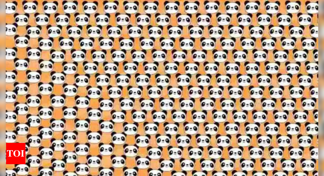 Optical Illusion: Can you spot the odd panda in this image?