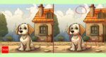 Optical Illusion: Find 3 difference in this puppy picture |