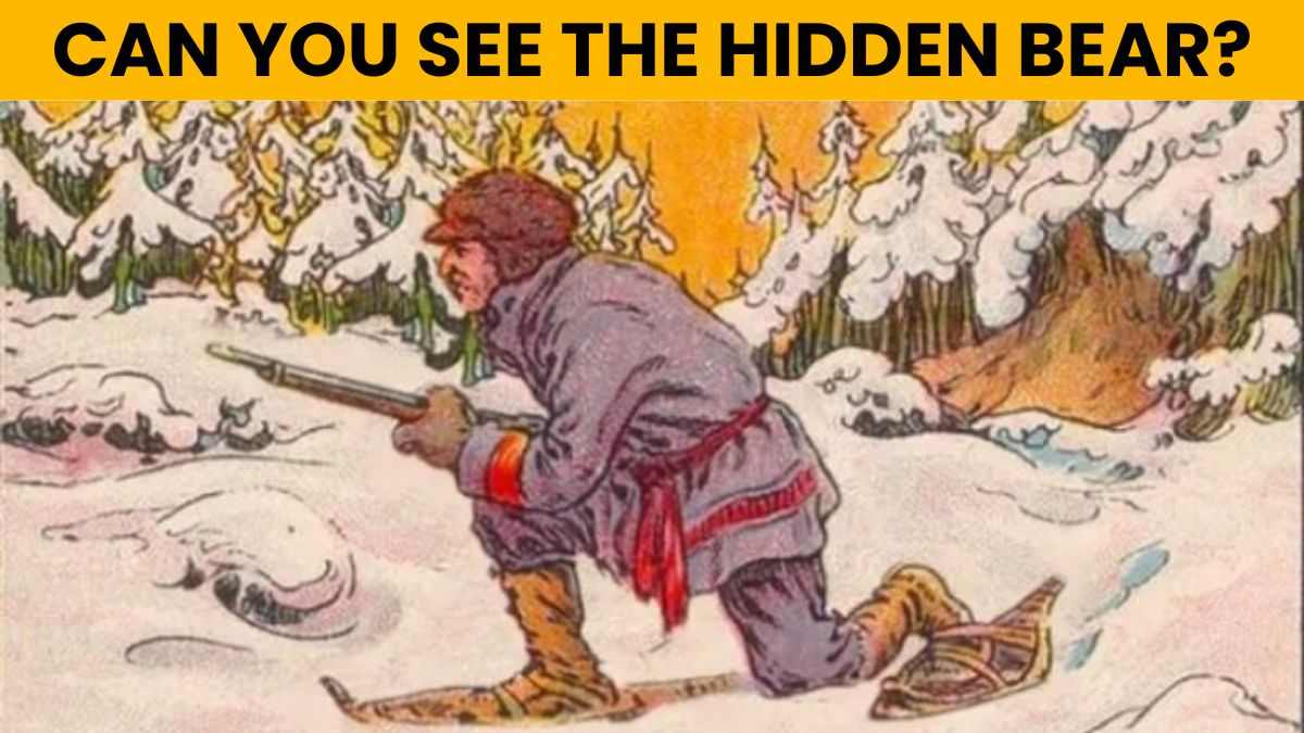 Optical Illusion IQ Test: Only 1% With Sharp Eye For Detail Can Spot The Hidden Bear In 5 Seconds!