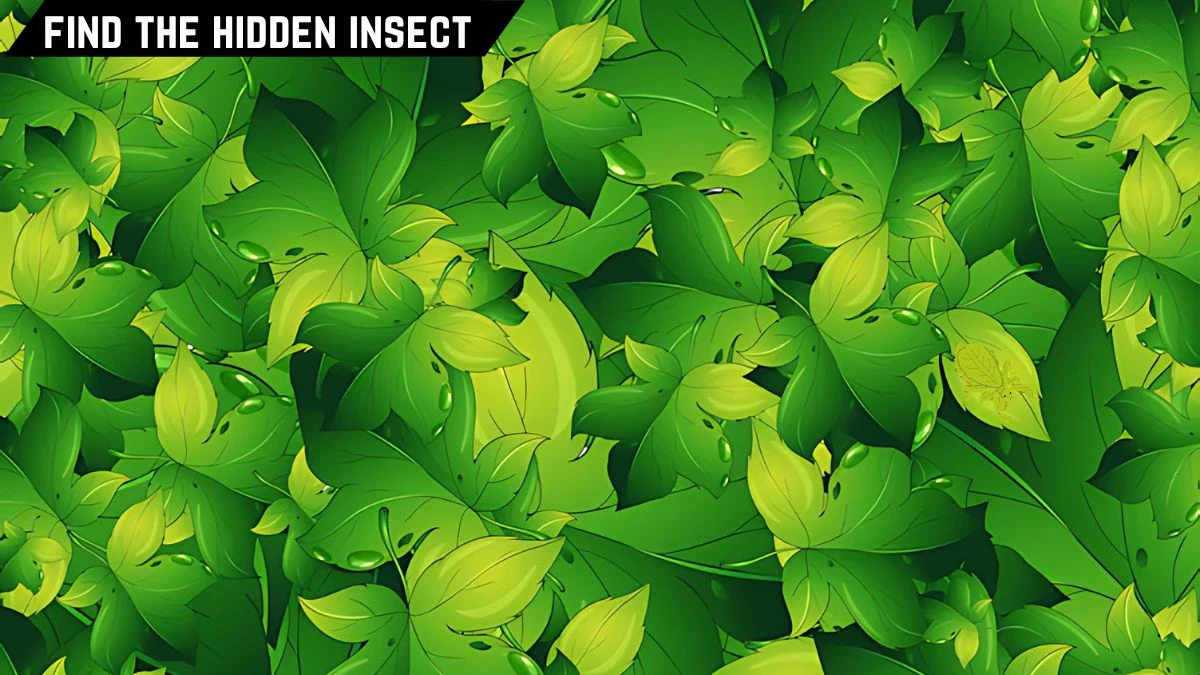 Optical Illusion IQ Test: Only 10 % People Can Spot the Hidden Insect in this Leaves Image in 8 Secs