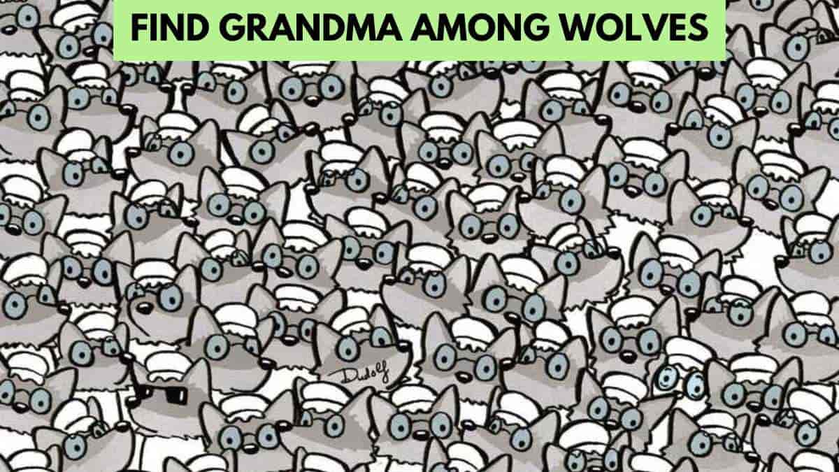 Optical Illusion IQ Test: Only 2% of highly observant eyes can find grandma among the wolves in 9 seconds!