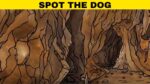 Optical Illusion IQ Test: Only Top 2% Geniuses Can Spot The Dog In 5 Seconds!