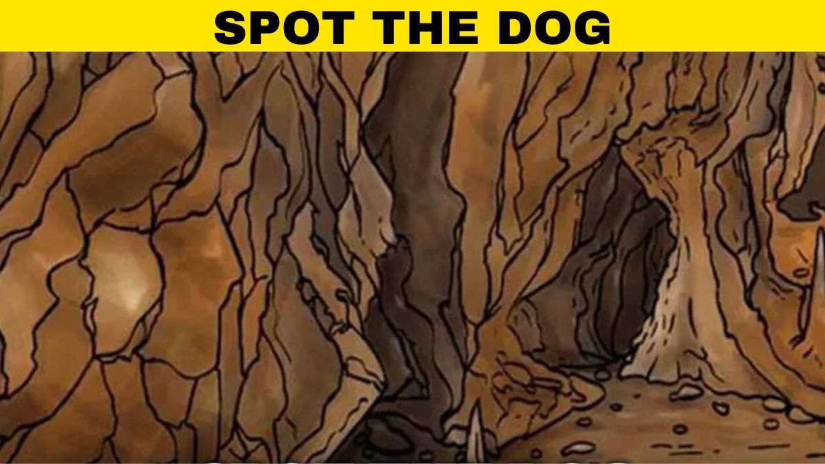 Optical Illusion IQ Test: Only Top 2% Geniuses Can Spot The Dog In 5 Seconds!