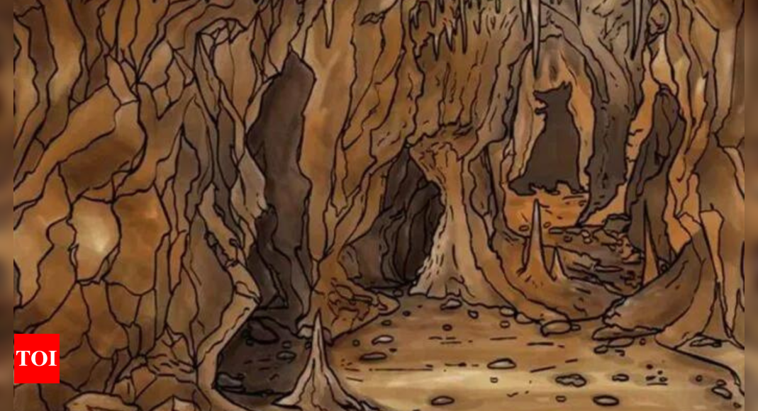 Optical Illusion: Only a genius can spot the dog in the cave in 5 seconds |