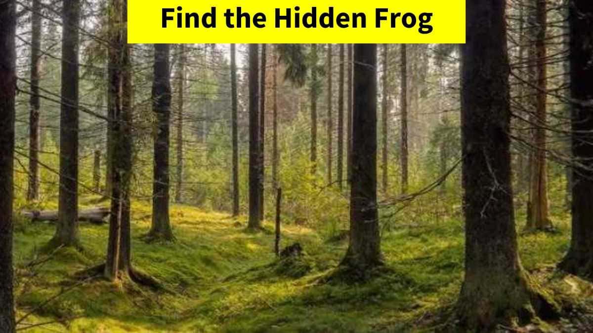 Optical Illusion - Only the most observant eyes can find the hidden frog in 7 seconds!