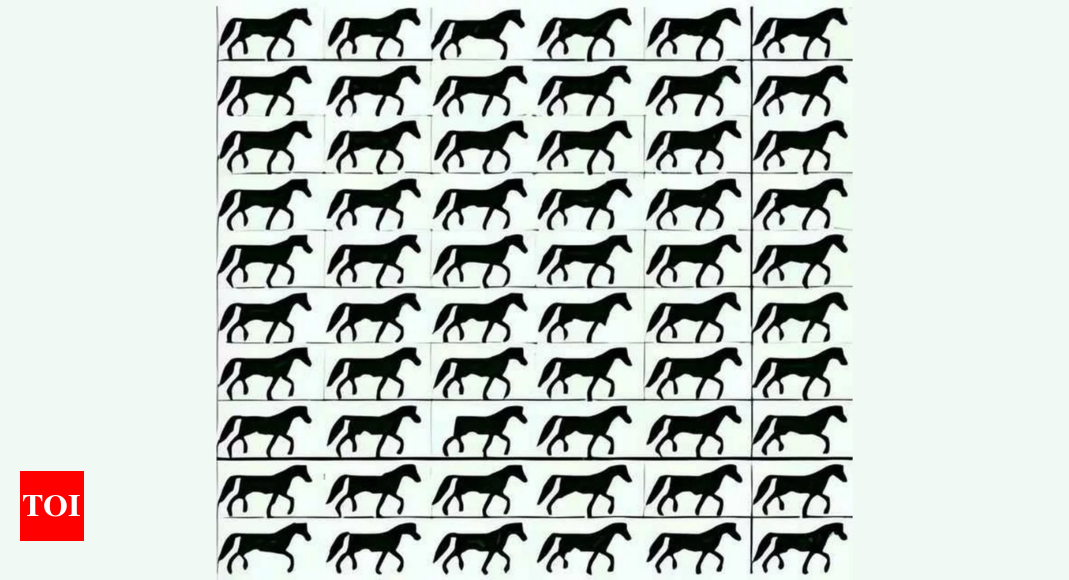 Optical Illusion: Only the smartest people can spot the horse without a tail |