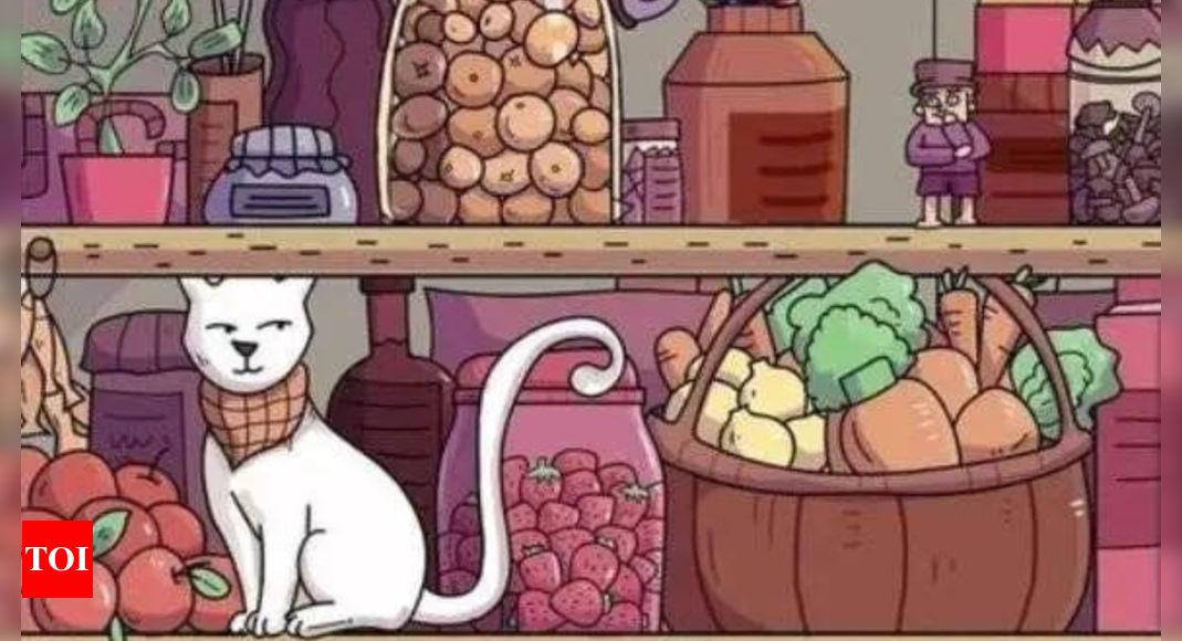 Optical illusion: Only a true cat lover can spot the hidden hammer in 7 seconds